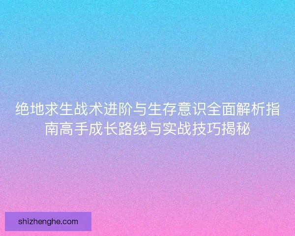 绝地求生战术进阶与生存意识全面解析指南高手成长路线与实战技巧揭秘