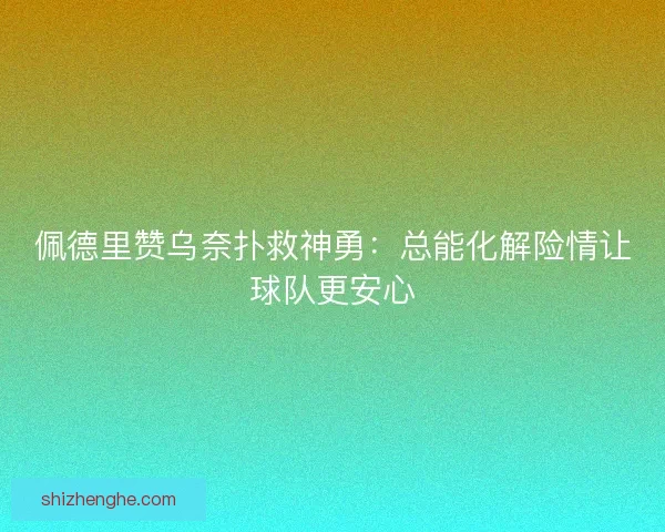 佩德里赞乌奈扑救神勇：总能化解险情让球队更安心